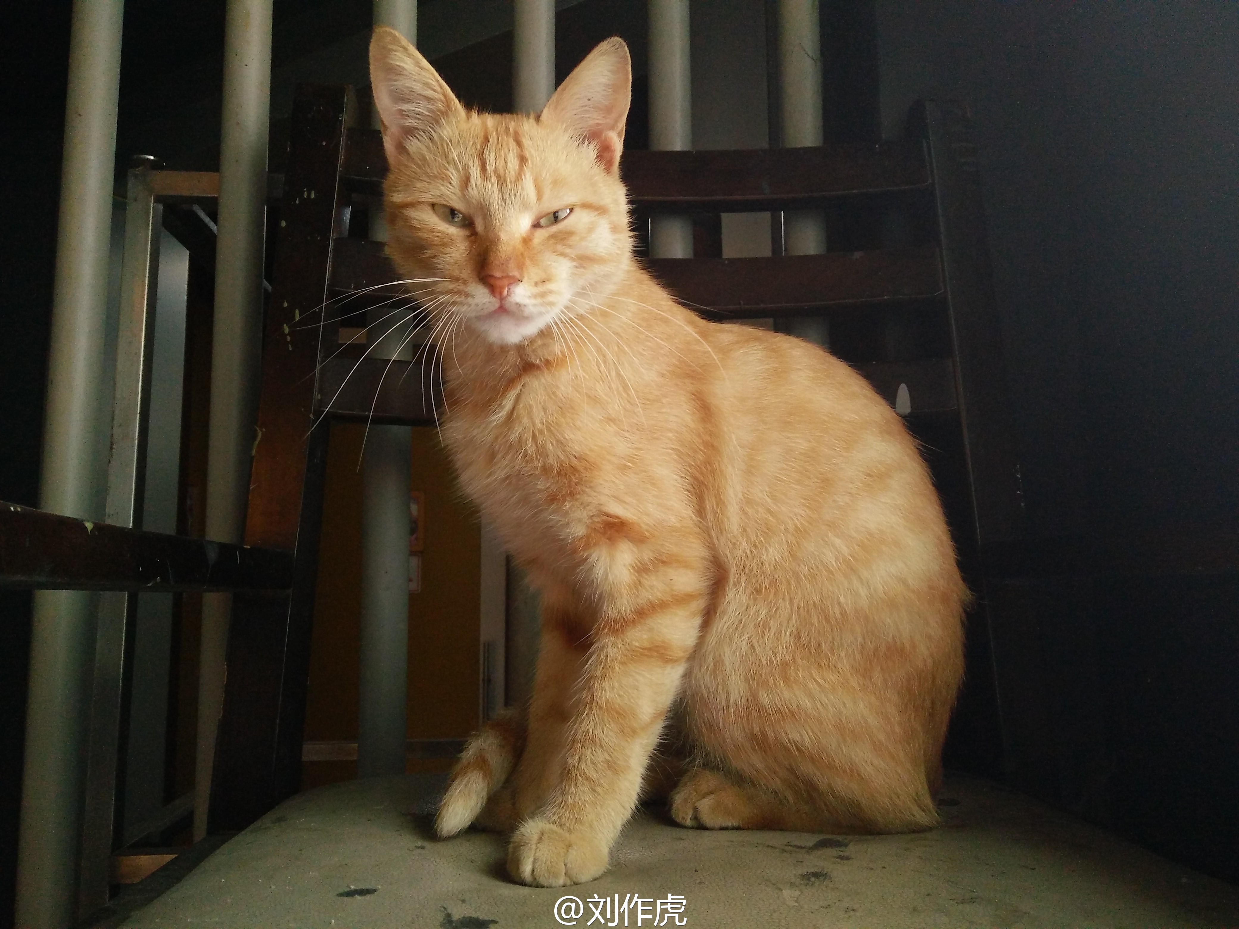 一加X樣張首曝光，跟紅米/魅藍比如何？