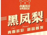 沒有停歇！雙11前小米動作不斷