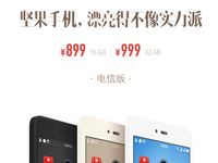 堅果手機電信版上市 眾籌成功后60天內發貨