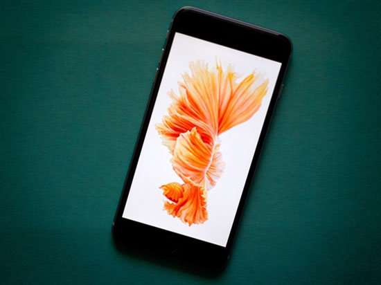 科客晚報 iPhone 7提前量產？小米5價格不止貴一點點