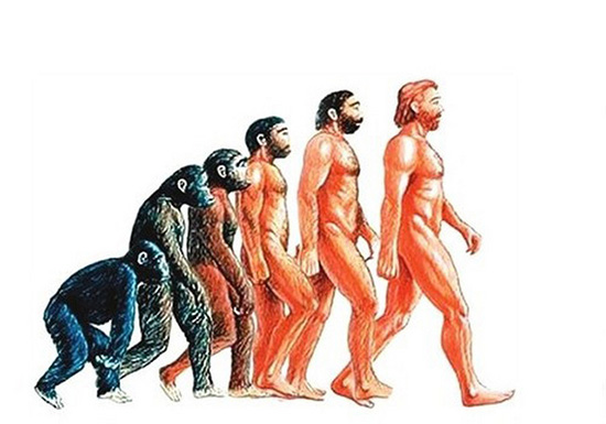 請珍惜身邊的男士，因為他們很有可能在500萬年后滅絕