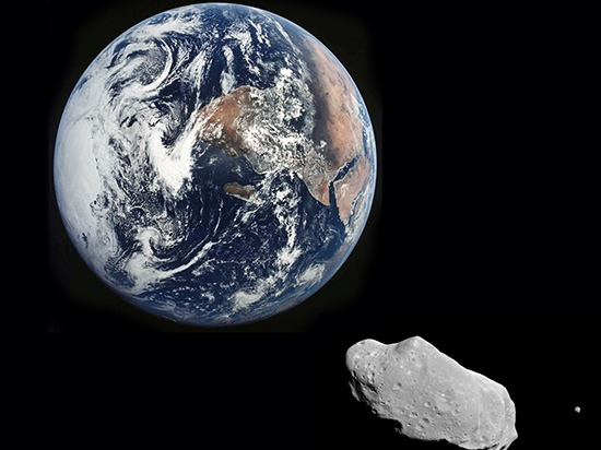我們會被小行星撞擊毀滅嗎？還是擔心你身邊的狗狗吧