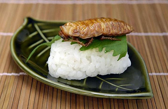 腦洞大開！未來我們可能吃這些當(dāng)食物