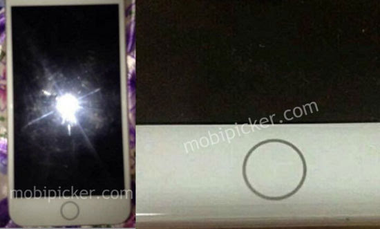 疑似iPhone 7真機圖曝光！真采用觸控式Home鍵