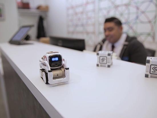 又萌又乖 這款機器人還有大用處