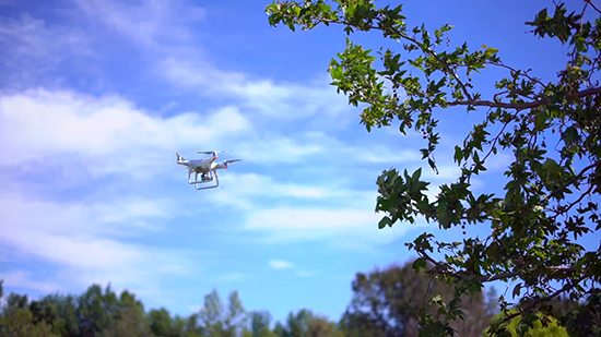 視頻：大疆Phantom 4障礙物感知系統極限測試