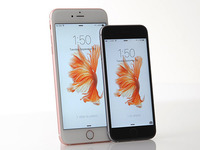 停滯不前！iOS更新率近一個月來毫無變化