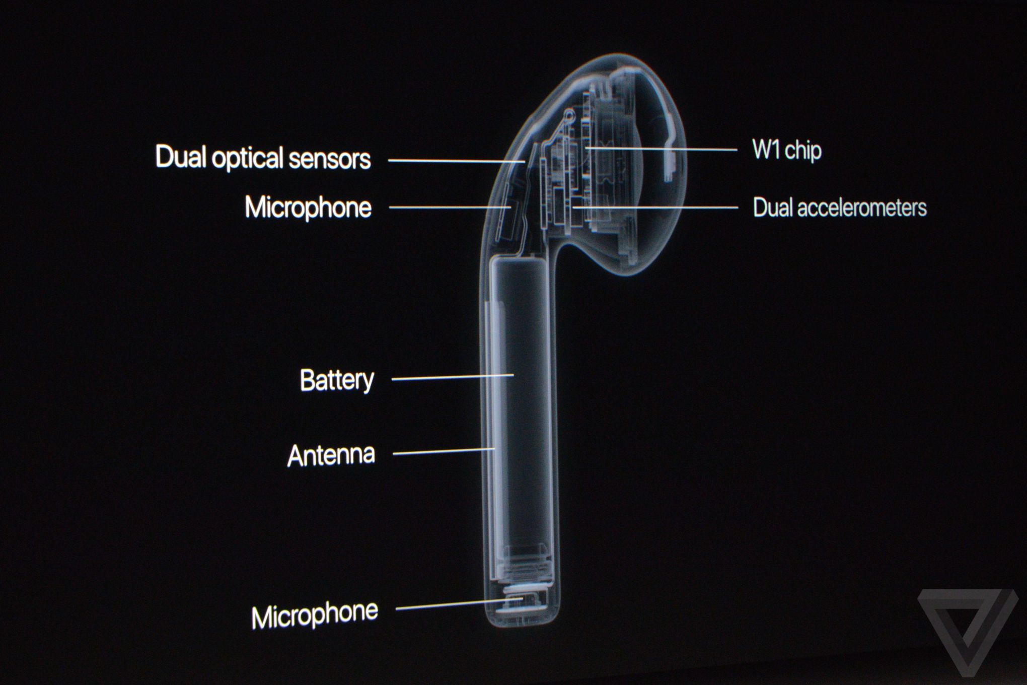 蘋果秋季發(fā)布會(huì)：除了iPhone 7還有表 就是有點(diǎn)“黑”