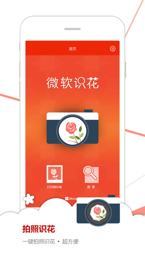 如何認出花名？微軟識花一鍵搞定