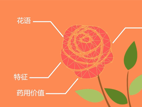 如何認出花名？微軟識花一鍵搞定