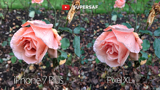 最強之戰：谷歌Pixel XL vs iPhone 7 Plus