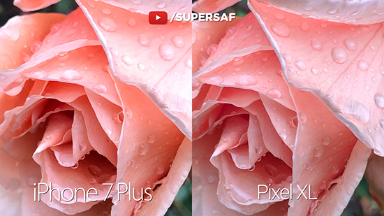 最強之戰：谷歌Pixel XL vs iPhone 7 Plus