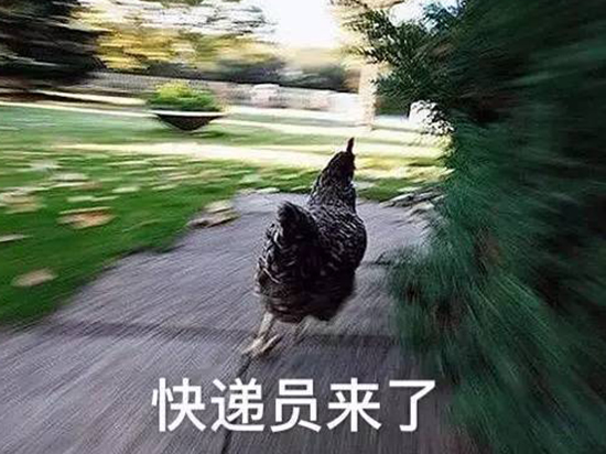 Talk客：雙11過(guò)去一周多 剁完手的你是否和我一樣？