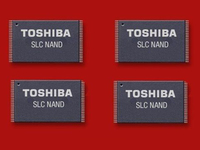 或將落入美國手中 日政府反對中韓廠商收購東芝閃存業務