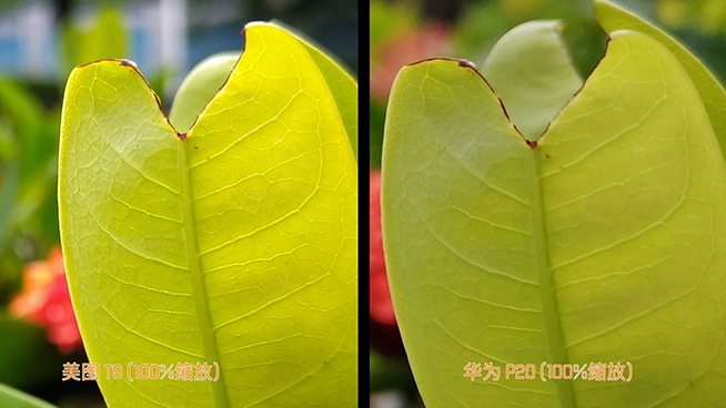 美圖T9華為P20拍照對比：被美顏自拍耽誤了拍照實力派