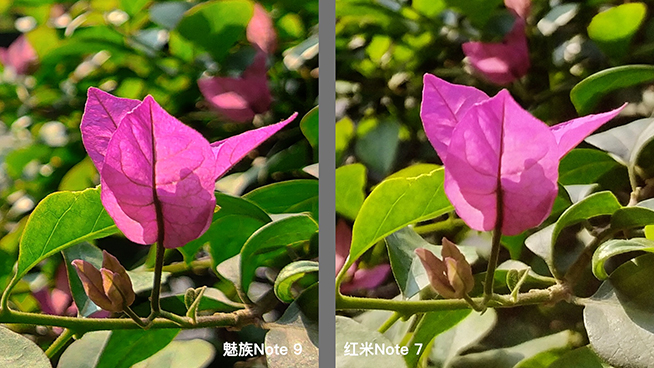 熱門千元機(jī)對(duì)比：紅米Note 7外觀取勝，魅族Note 9拍照更好