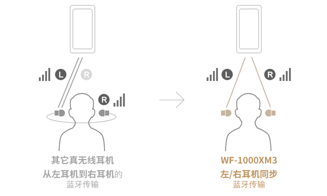 索尼全新“降噪豆”發(fā)布：雙傳輸?shù)脱舆t  國行售價1699元