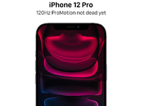 頂配獨(dú)享120Hz屏？蘋果iPhone 12 Pro Max真安排上了