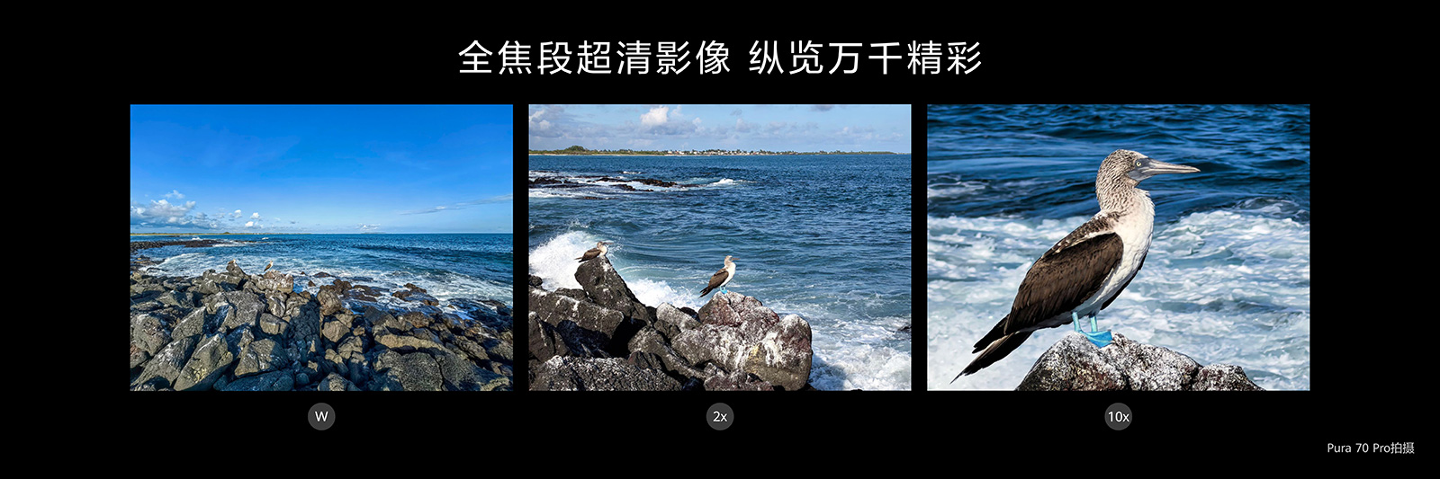 幾分鐘解決糾結癥！618大促華為Pura 70系列推薦，誰是你的C位？