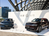 問界M9 2025款發布上市，車載小藝體驗升級支持深度思考