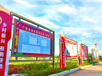2025年中國聯通國企開放日廣東專場活動成功舉辦
